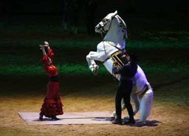 Tour Jerez and Cadiz. Dressage Andalusian horses dancing